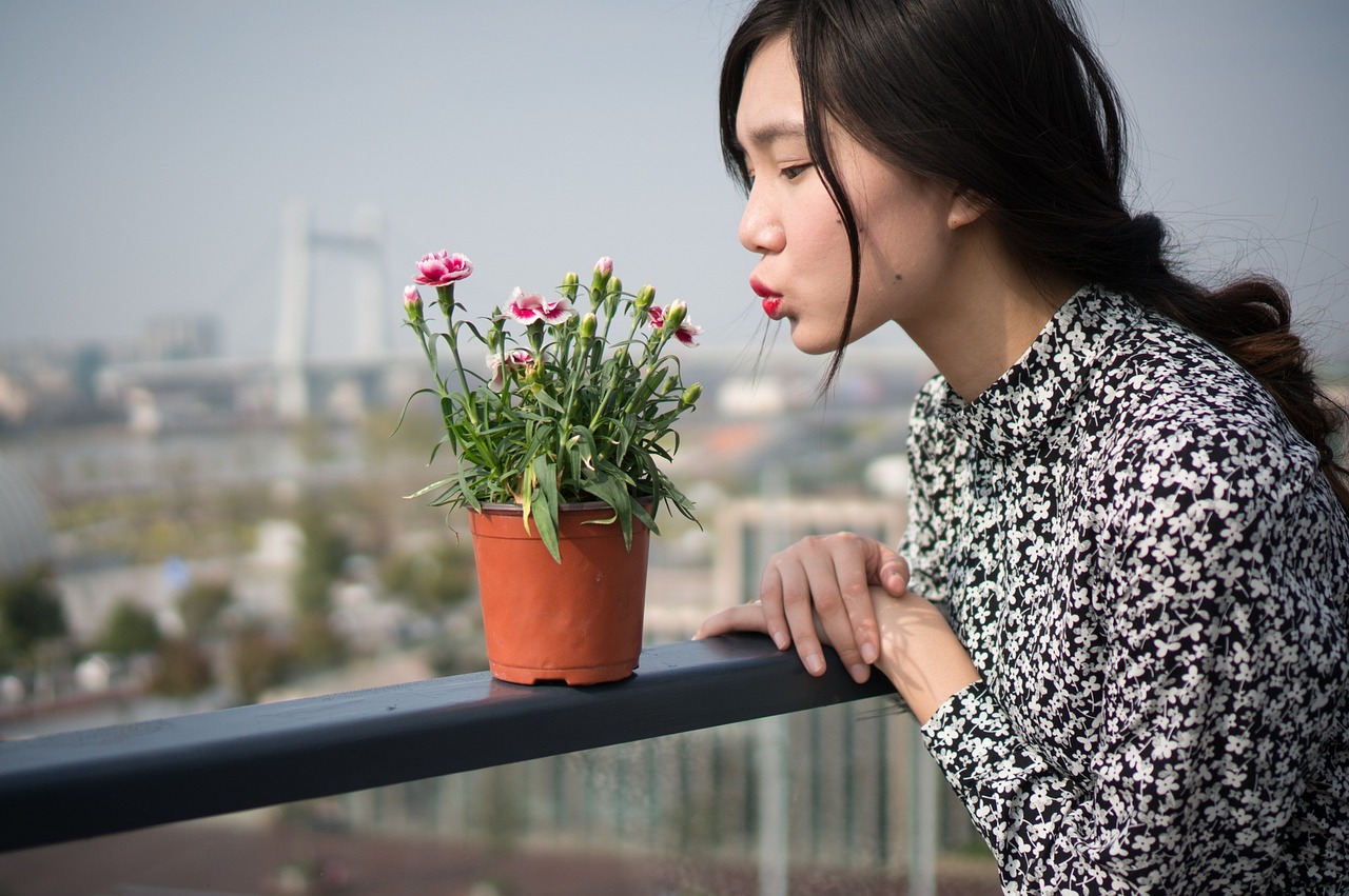 影视剧女主角的演艺星途，探究她们的璀璨历程与代表作品